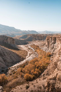 Unser Highlight in Andalusien