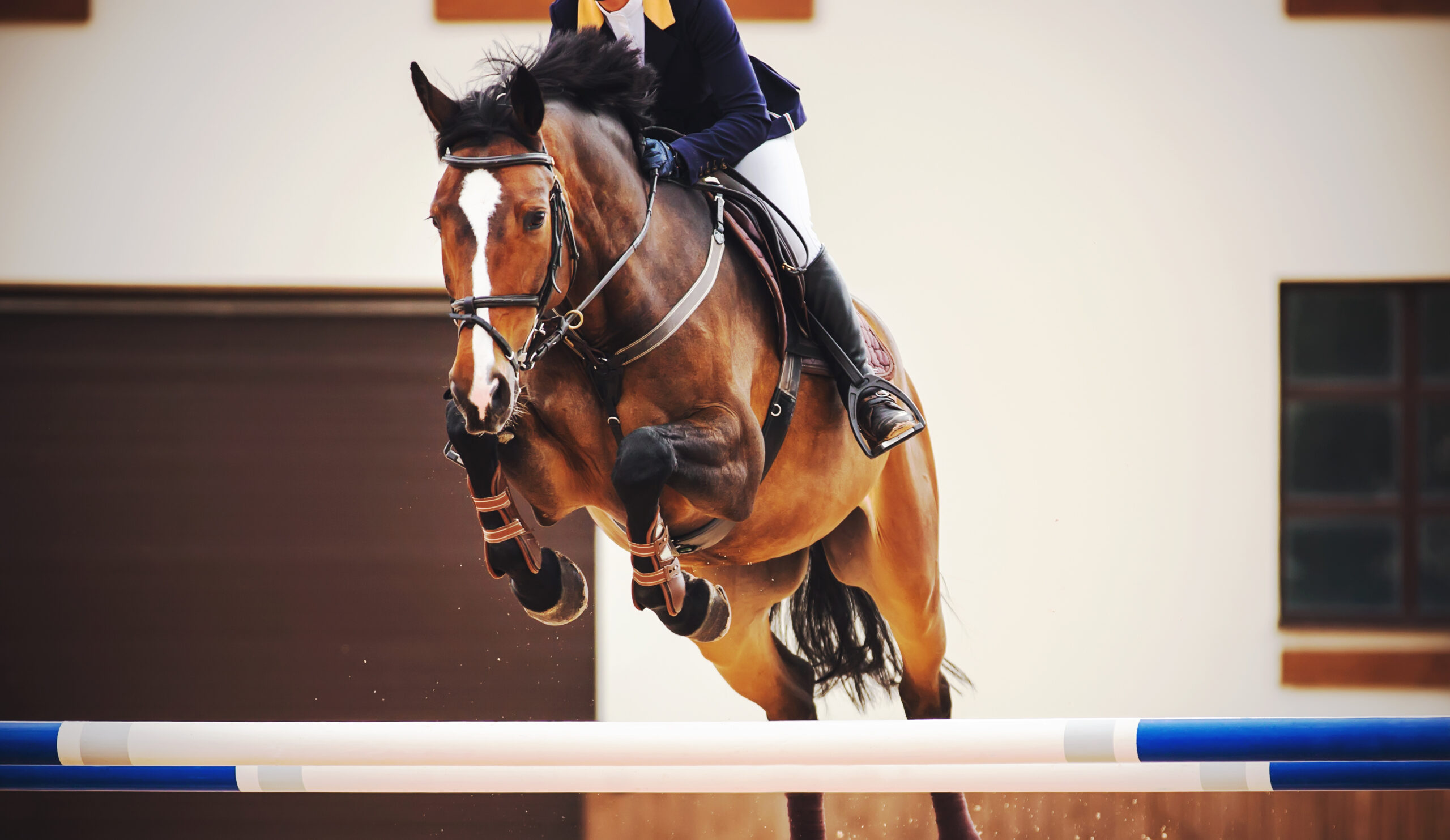 Internationaler Reitsport im Advent