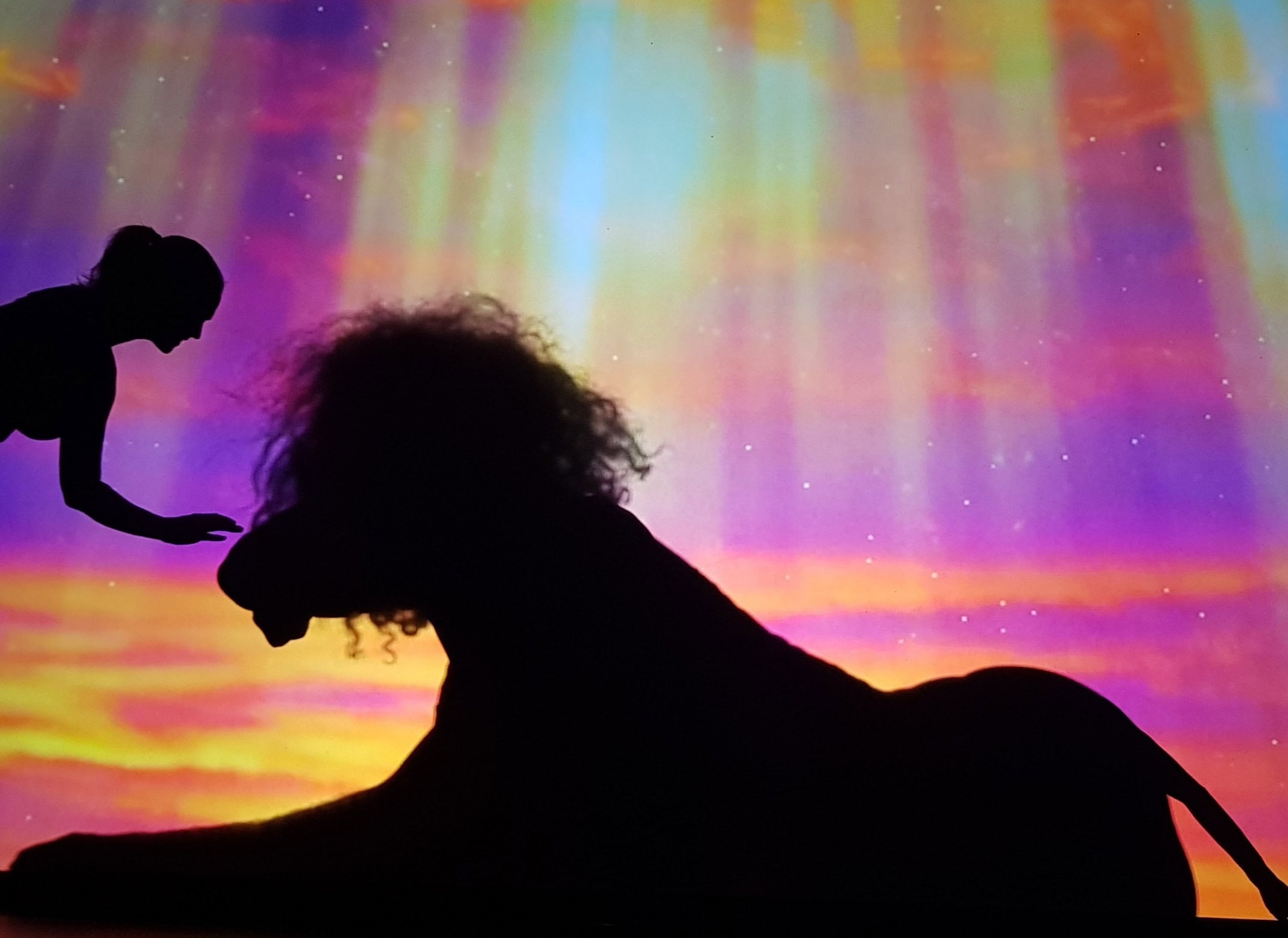 Moving Shadows: Eine Traumhafte Reise in Die Welt der Schattenkunst